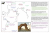 coo1d19 mercury bay 3_thumb.gif